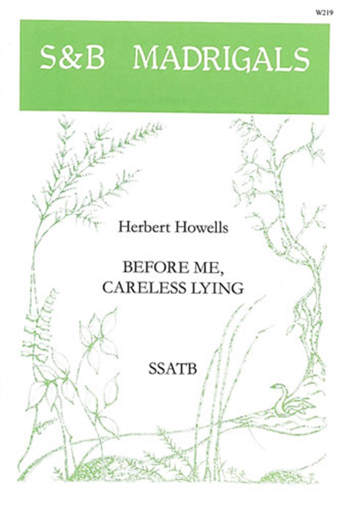 Before Me Careless Lying
